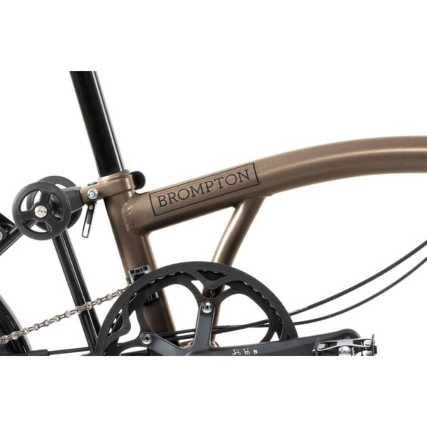 P Line Explore (12-Speed) - Bronze Sky (Metallic) - Mid - Image 6